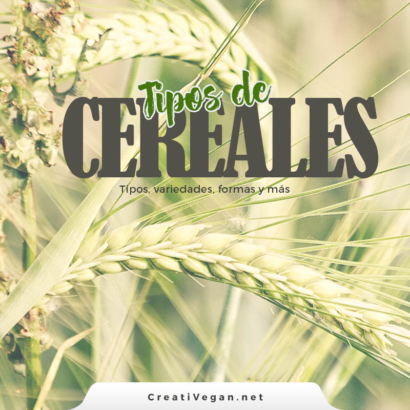 Tipos de cereales