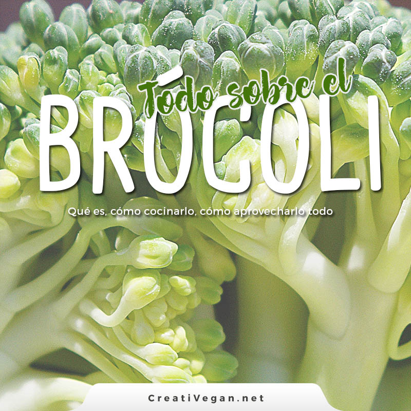 Todo sobre el brócoli