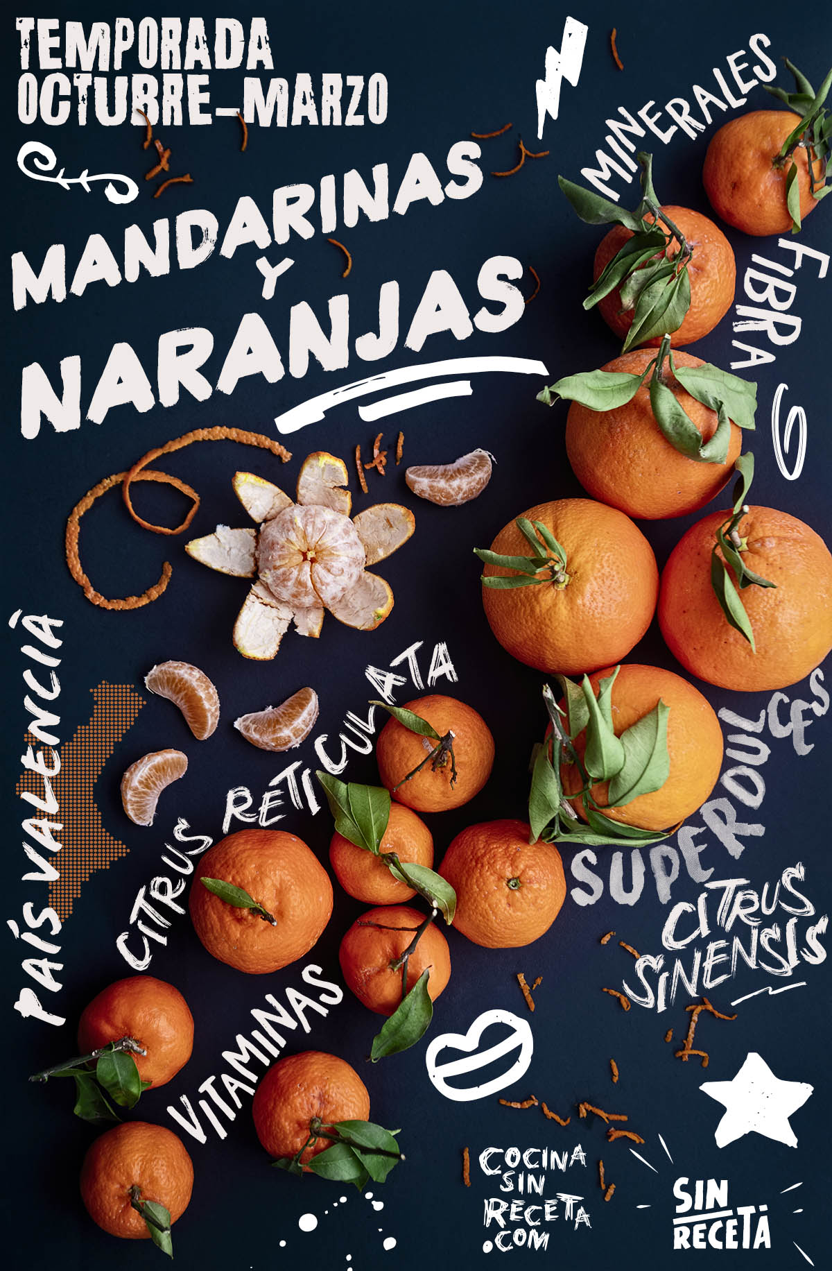 Naranjas y mandarinas: te contamos lo mejor